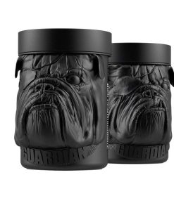 بی سی ای ای سگ زوماد لند