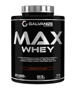 پروتئین وی مکس 2280 گرمی گالوانایز