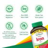 کپسول آهن جمیسون 28 میلی گرم 150 عدد Jamieson Gentle Iron 8 کپسول آهن جمیسون 28 میلی گرم 150 عدد Jamieson Gentle Iron