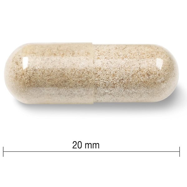 کپسول آهن جمیسون 28 میلی گرم 150 عدد Jamieson Gentle Iron 5 کپسول آهن جمیسون 28 میلی گرم 150 عدد Jamieson Gentle Iron