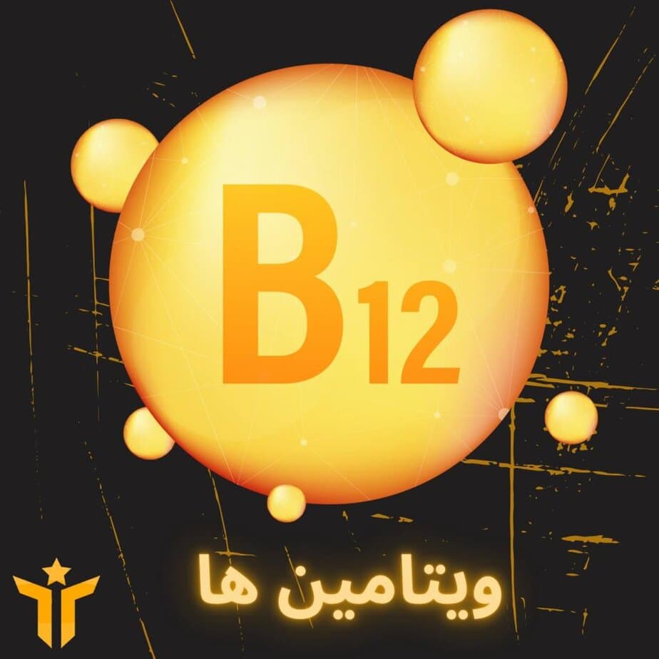 مسترفیت ؛ فروشگاه آنلاین مکمل و شیکر اورجینال