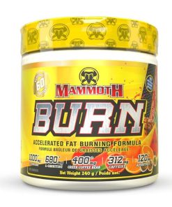 مکمل چربی سوز برن ماموت Mammoth Burn