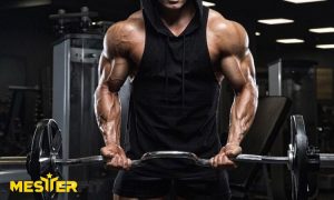 فرق فیتنس و بدنسازی چیست؟ مقایسه کامل